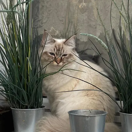 Attraktive 3 In Toplage,naehe Messe Hannover