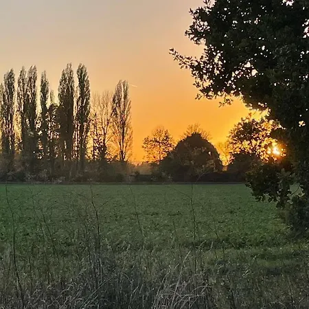 Apartament Attraktive 3 In Toplage,naehe Messe